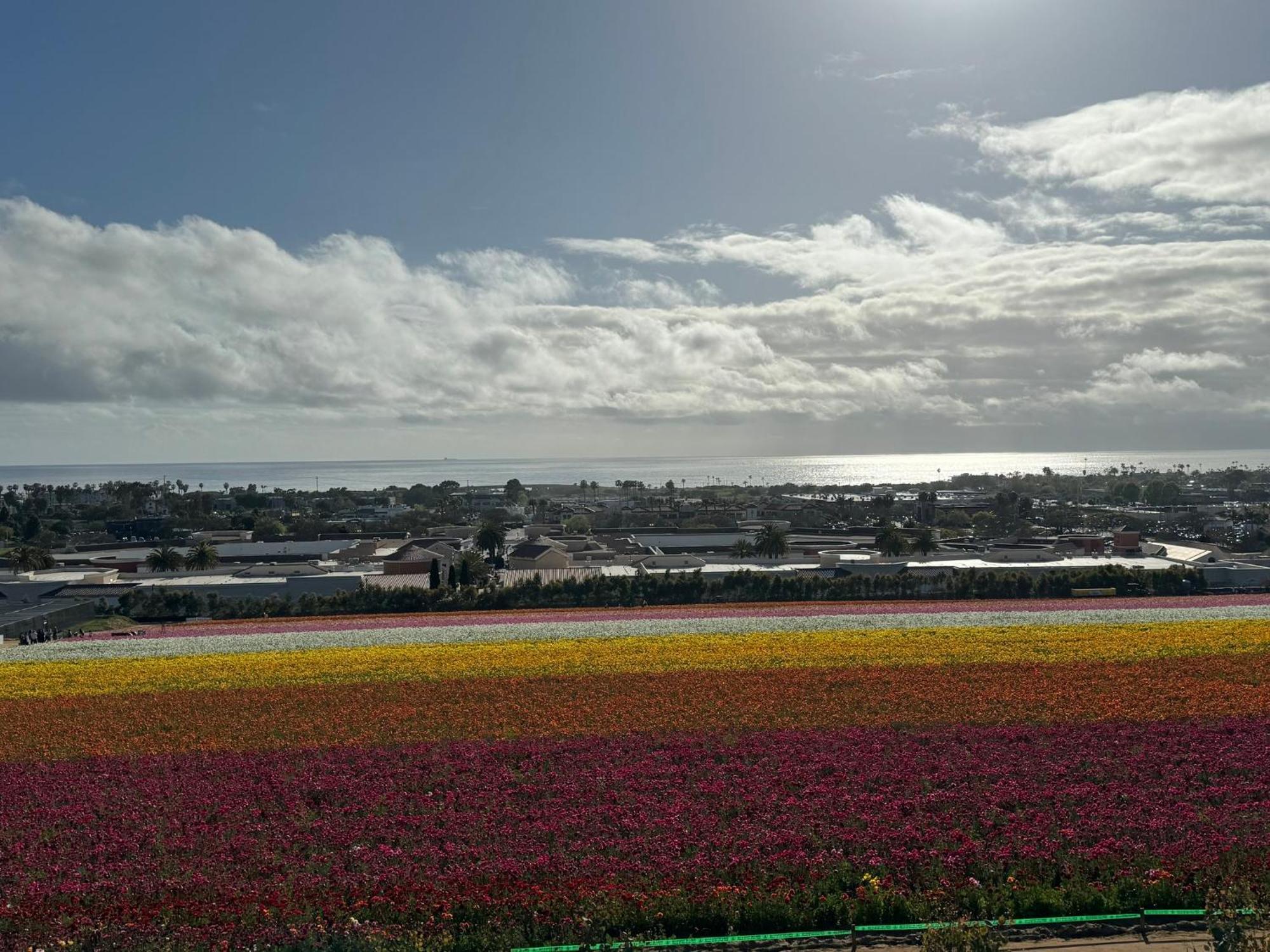 Holiday Inn Express Hotel & Suites Carlsbad Beach By Ihg Exterior photo